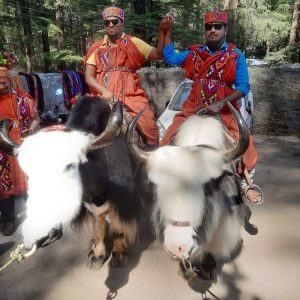 WhatsApp Image 2023-01-12 at 3.45.03 PM (1)