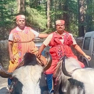 WhatsApp Image 2023-01-12 at 3.50.15 PM