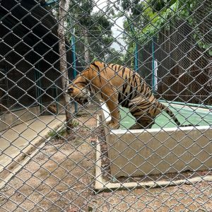 WhatsApp Image 2023-01-13 at 6.02.57 PM (1)